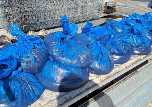 Prawie 5 ton zanieczyszczeń zebranych z plaż