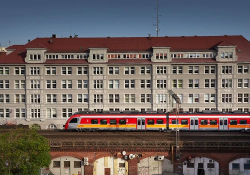 Pies i kot w podróży. Jak bezpiecznie i komfortowo przewozić swojego pupila pociągiem