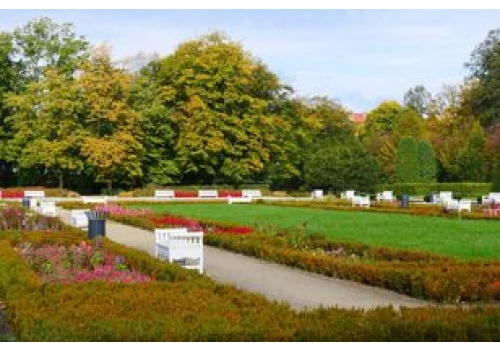 Park Miejski w Legnicy w jesiennej odsłonie. Złote liście, ciepłe promienie słońca i kolorowe wrzośce