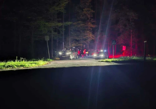 90-latka zgubiła się na grzybobraniu. Poszukiwania w ciemnościach i szczęśliwy finał