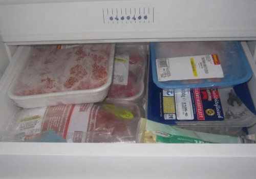 Mrożenie nie zabija bakterii, tylko je usypia. Po rozmrożeniu wracają do pracy dokładnie tam, gdzie skończyły