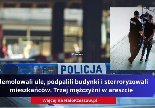 Zdemolowali ule, podpalili budynki i sterroryzowali mieszkańców. Trzej mężczyźni w areszcie