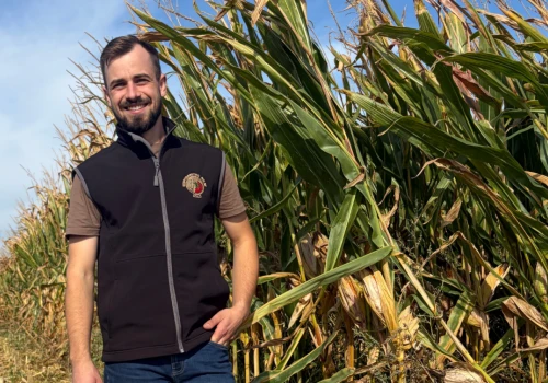 15 t/ha kukurydzy na mąkę. Rolnik pokazuje ile zarabia