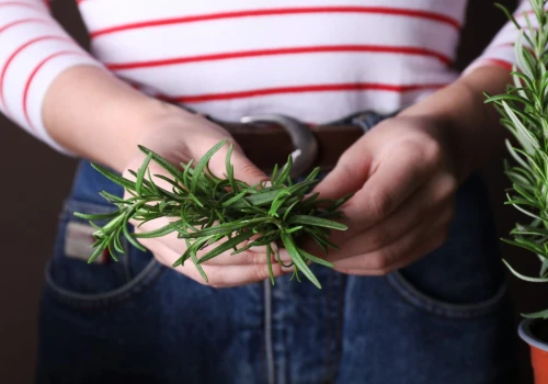 Zagotuj z rozmarynem. Ten naturalny odświeżacz zmieni zapach każdej kuchni