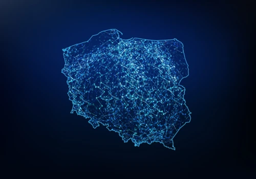 Polska krajem cyfrowych sprzeczności