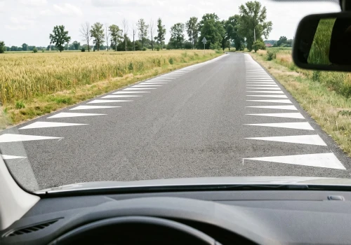 Czym są zęby smoka i do czego służą? To nie fotoradar, ani próg zwalniający