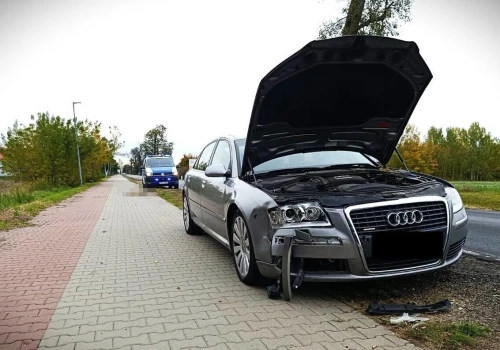 Dzikie zwierzęta na drogach powiatu ryckiego. Ponad 60 zdarzeń od początku roku