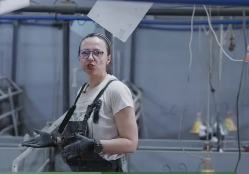 Małe błędy, wielkie straty. W ochronie świń nie ma miejsca na przypadek