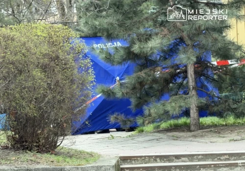 Ciało mężczyzny znaleziono w parku. Policja wyjaśnia okoliczności śmierci