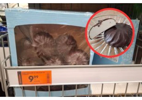 Pół kilo słodyczy za niecałe 10 zł. Zefiry ze Stokrotki kuszą ceną, ale skład studzi apetyt
