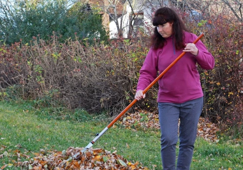 Ani do kubła, ani na ognisko. Genialny pomysł na góry liści w ogrodzie