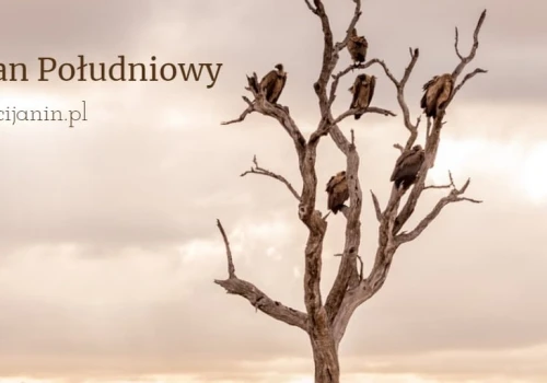 Sześciu chrześcijan porwanych w Sudanie Południowym zostało uwolnionych
