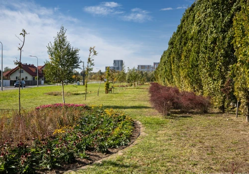 Powstał nowy park w Rzeszowie. Mieszkańcy Miłocina wybrali tę inwestycję