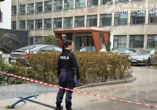 Atak nożem w szkole. 21-latka zaatakowała trzy osoby, 17-latka trafiła do szpitala