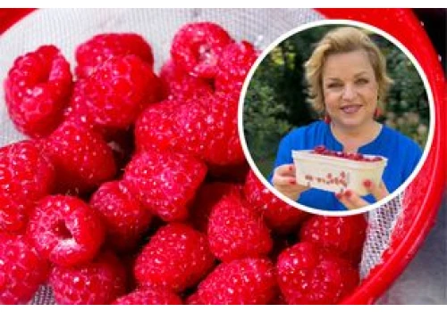 Katarzyna Bosacka stawia sprawę jasno. Czy trzeba myć maliny przed jedzeniem?