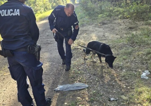 Ucieczka więźnia z konwoju, pożar w zakładzie karnym i poszukiwania w lesie…
