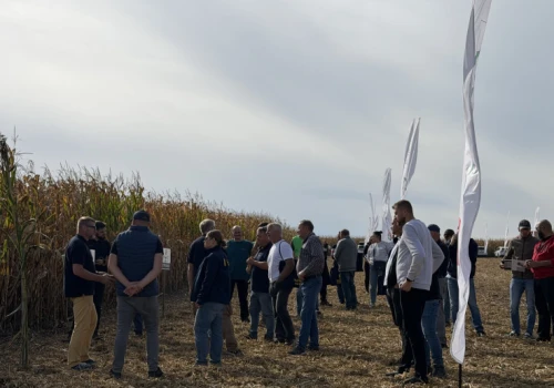Dzień kukurydzy i sorgo. Jakie odmiany na kolejny sezon poleca RAGT?