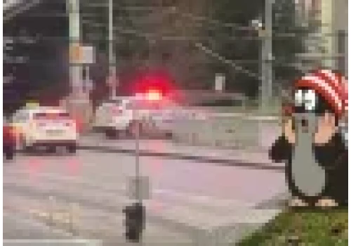 Czescy policjanci jechali po torach, wpadli w poślizg i spadli z mostu do rzeki