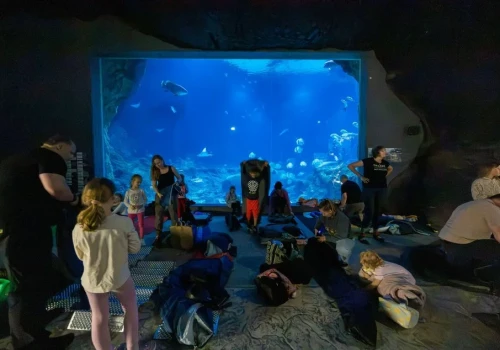 ZOO po zmroku w Łodzi. Zwiedzający odkrywają nocne życie zwierząt