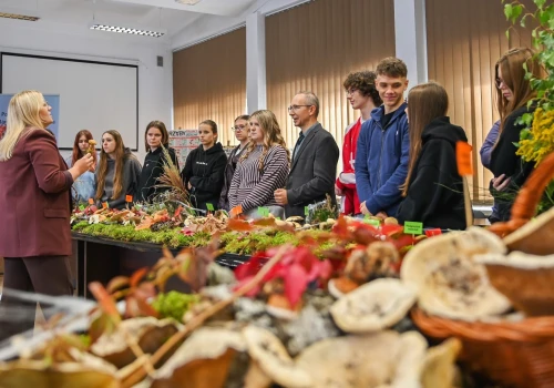 Lekcja bezpiecznego grzybobrania