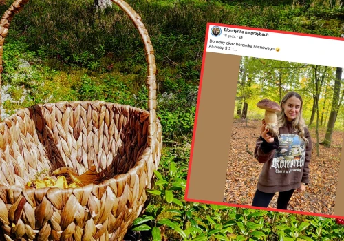 Poszła na grzyby do lasu. Pokazała, co udało jej się znaleźć. 