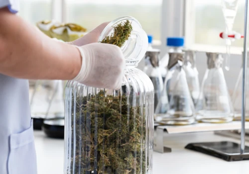 Lex Szarlatan pod lupą. Walka z pseudomedycyną czy regulator całego rynku zdrowia?