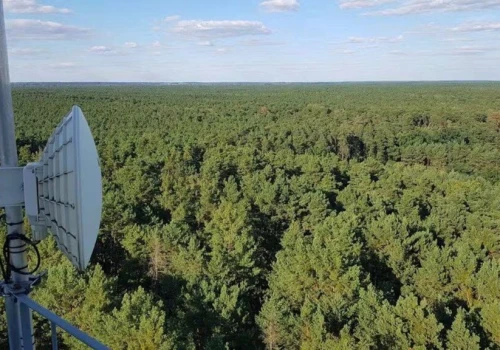 Koniec dyżurów przeciwpożarowych w Kampinoskim Parku Narodowym. W tym sezonie odnotowano 26 pożarów