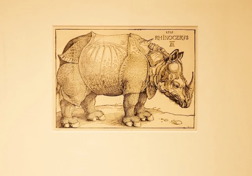 „Nosorożec” Dürera i inne skarby dawnej grafiki w bielskim muzeum