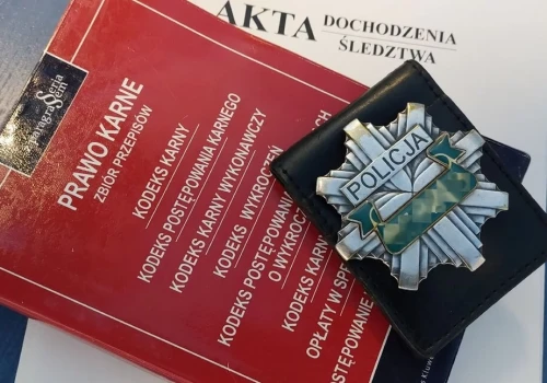 Kradł psy w Ciechanowie i okolicy. Wpadł po kradzieży samochodu i biżuterii