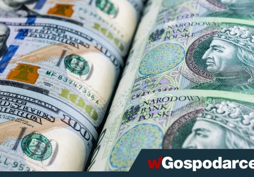 Złoty w odwrocie. Najgorsze dopiero przed nami?