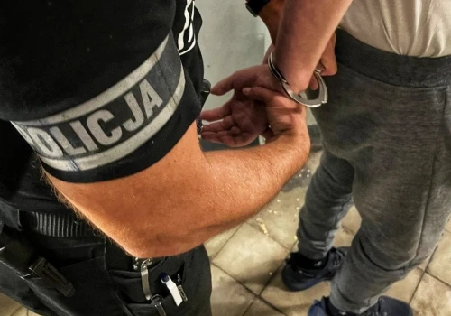 Do więzienia za grzyby? 29-latkowi grozi do 10 lat za kratami