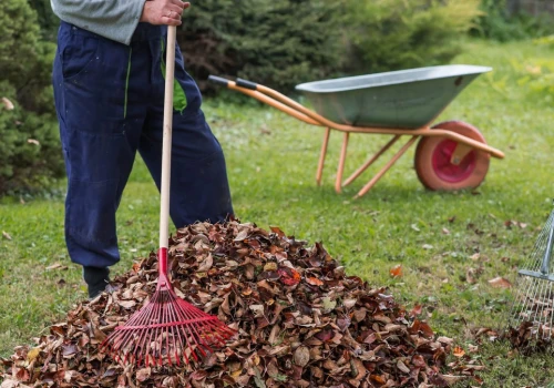 Liście lecą, a czasu coraz mniej. Te prace w ogrodzie trzeba zrobić teraz