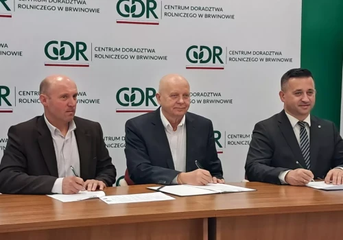 Powstała grupa ds. produkcji bydła opasowego. Czym się zajmą eksperci?