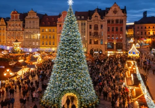 Tak będzie wyglądała nowa wrocławska choinka. Cena: 10,6 tys. zł za jeden dzień