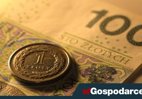 Złoty pod presją. Co dalej z polską walutą?