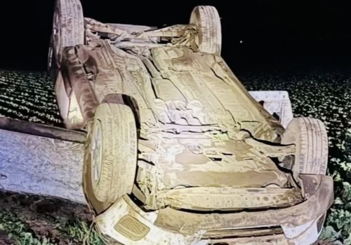 Volvo dachowało na polu. Za kierownicą nietrzeźwy nastolatek bez prawa jazdy