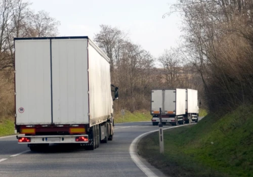 Służby zatrzymały transport z Chin. Takie ryby chcieli wwieźć do Polski