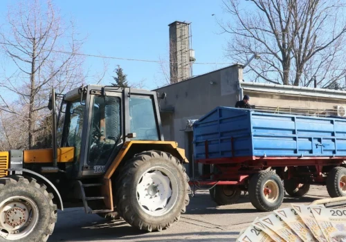 Pszenica drożeje nawet o 50 zł, rzepak o 100 zł. Jakie są ceny skupu?