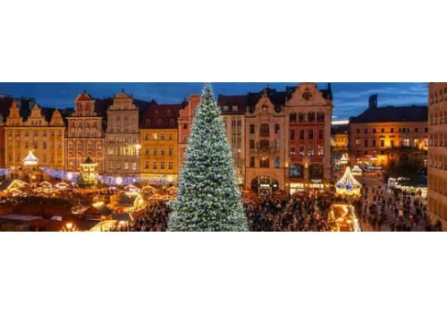 Wrocław szykuje świąteczne iluminacje. Na Rynku stanie choinka, do której będzie można wejść