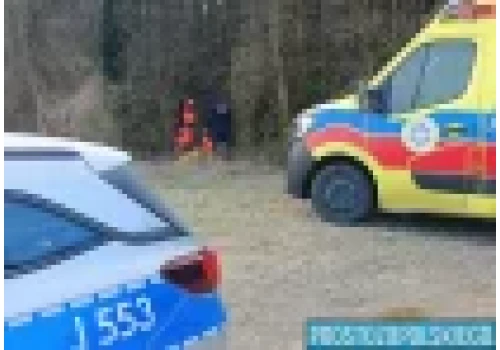 15-latka zaatakowana przez psa w lesie. Nastolatka trafiła do szpitala.
