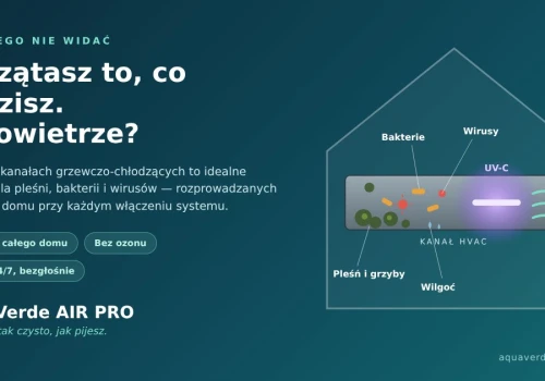 Czysty dom, brudne powietrze? Co kryje się w kanałach wentylacyjnych naszych domów