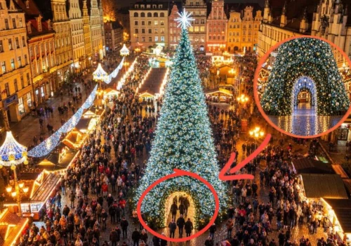 Takiej choinki na wrocławskim Rynku jeszcze nie było. Wejdziesz do jej wnętrza.