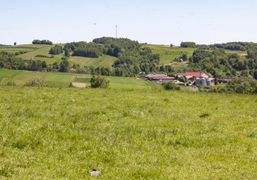 Nakaz rozbiórki budynku gospodarczego. Czy można się jeszcze odwołać?