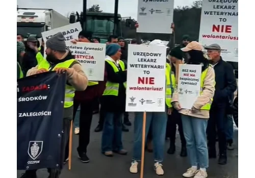 Weterynarze protestują w Kutnie. Domagają się zaległych wypłat i rozmów z ministerstwem