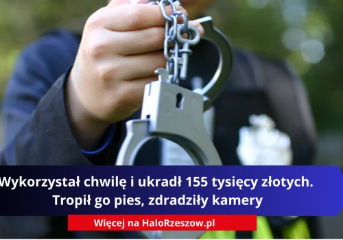 Wykorzystał chwilę i ukradł 155 tysięcy złotych. Tropił go pies, zdradziły kamery