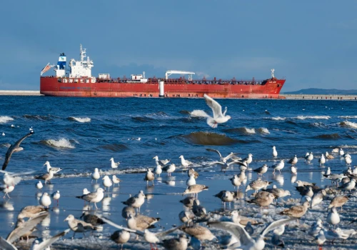 Niemieccy ekolodzy torpedują polskie wydobycie ropy z Bałtyku