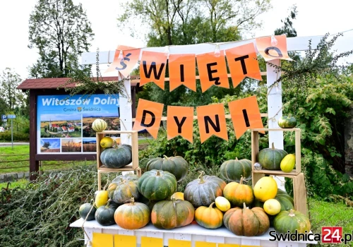 Witoszów Dolny zaprasza na Święto Dyni