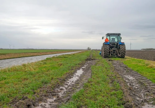 Rząd uruchamia pomoc dla rolników. Nawet 3 tys. zł za hektar
