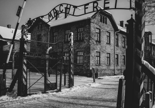 Litwin pozował w Auschwitz z gestem hitlerowskim. Policja ujawnia, jak go ukarano