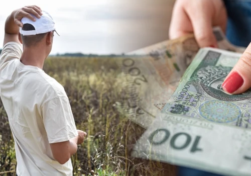 Rolnicy się doczekali, rząd zdecydował o pieniądzach. Nawet 3 tys. zł na hektar